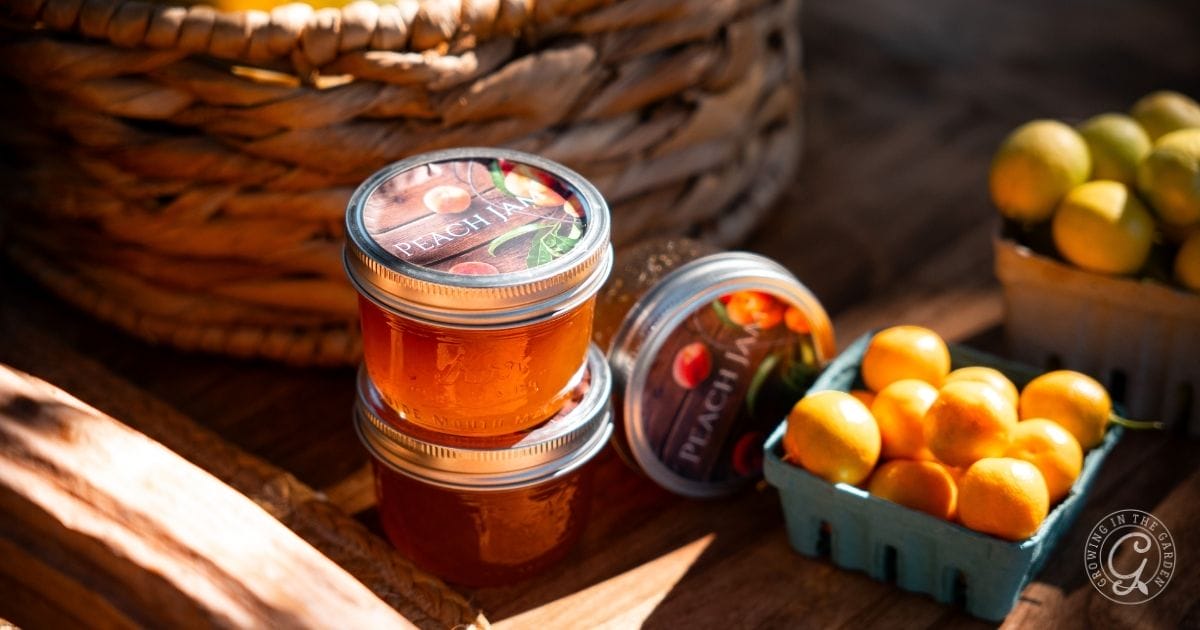 Two glass jars of peach jam are stacked beside a basket of small yellow fruits and a large woven basket, all on a wooden surface in bright sunlight—perfect gifts from the garden.