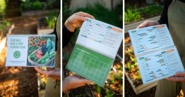 Garden Planning: How to Plan Your Garden - Growing In The Garden