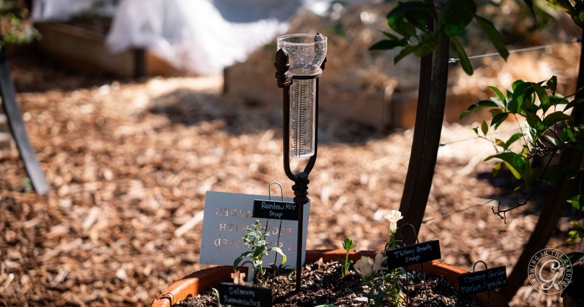 Rain gauge