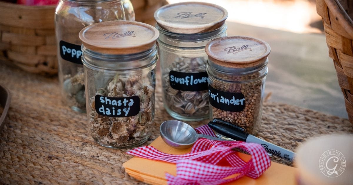 Four glass jars with wooden lids labeled poppy, shasta daisy, sunflower, and coriander seeds sit on a woven surface beside a metal spoon, black marker, orange envelopes, and pink ribbon—perfect gifts from the garden.