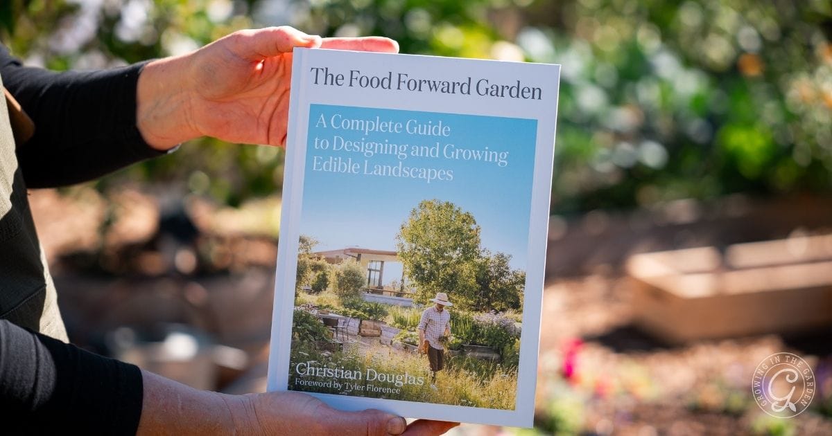 The Food Forward Garden