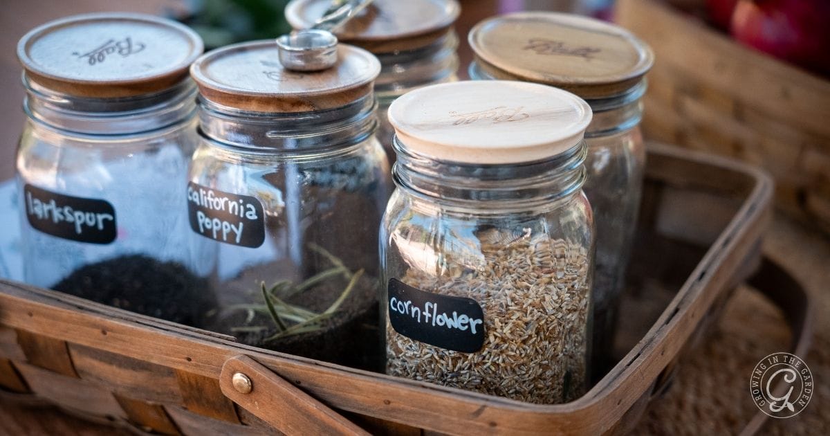 Five glass jars with wooden lids, labeled with seeds like Larkspur, California Poppy, and Cornflower, are arranged in a woven basket—perfect gifts from the garden for any nature lover.