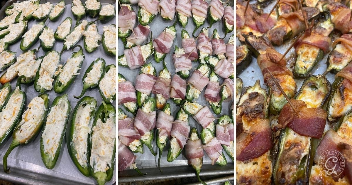 Bacon-Wrapped Jalapeño Poppers