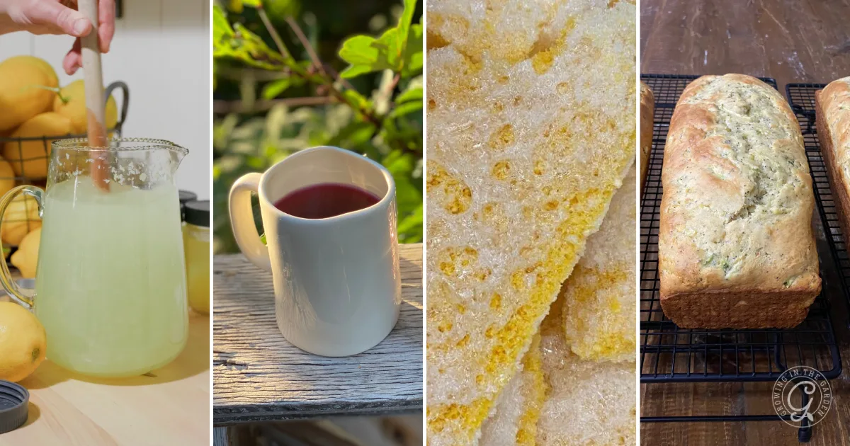 Four vertical panels showing lemonade, a mug of tea, cornbread, and two loaves of bread on cooling racks.