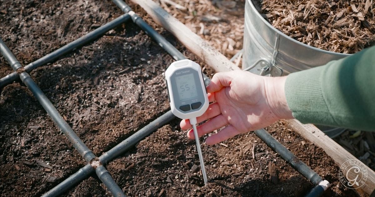 Monitor Your Soil Temperature