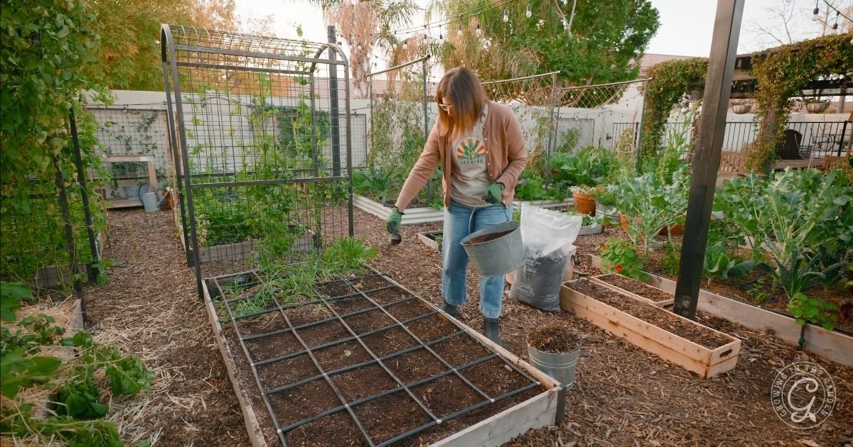Next, Prepare Your Beds and Check the Irrigation