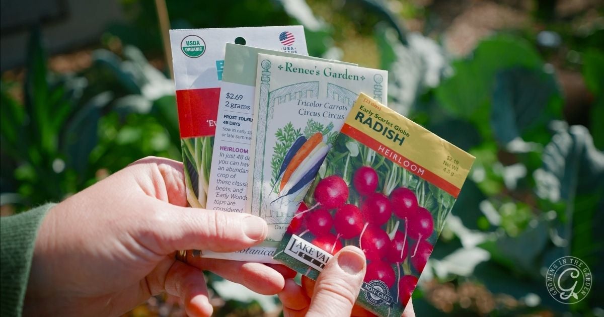 What to Plant in February in Arizona
