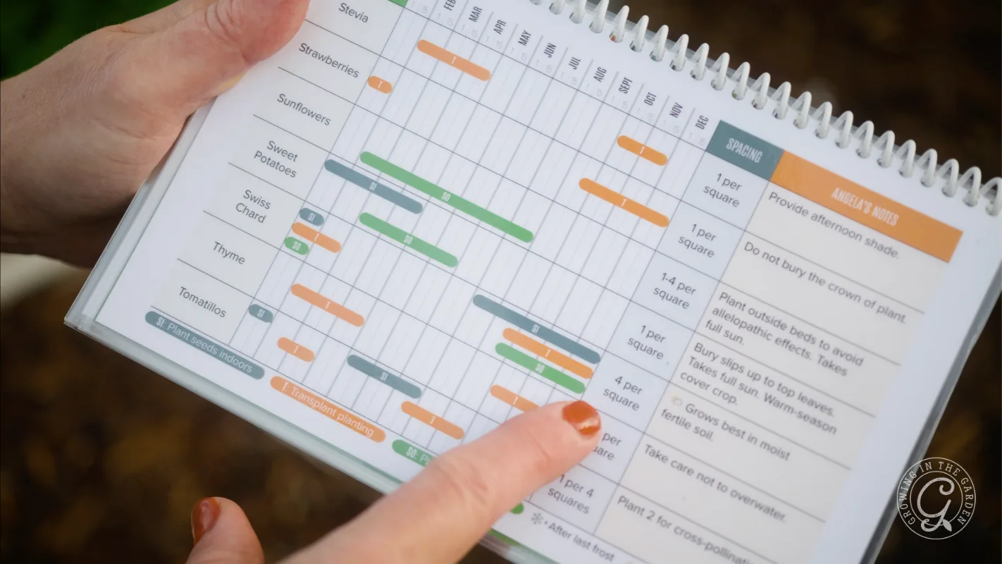 A hand points to a colorful gardening chart with planting schedules for various vegetables and herbs.