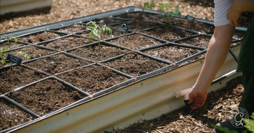 watering practices are essential when gardening in arid climates