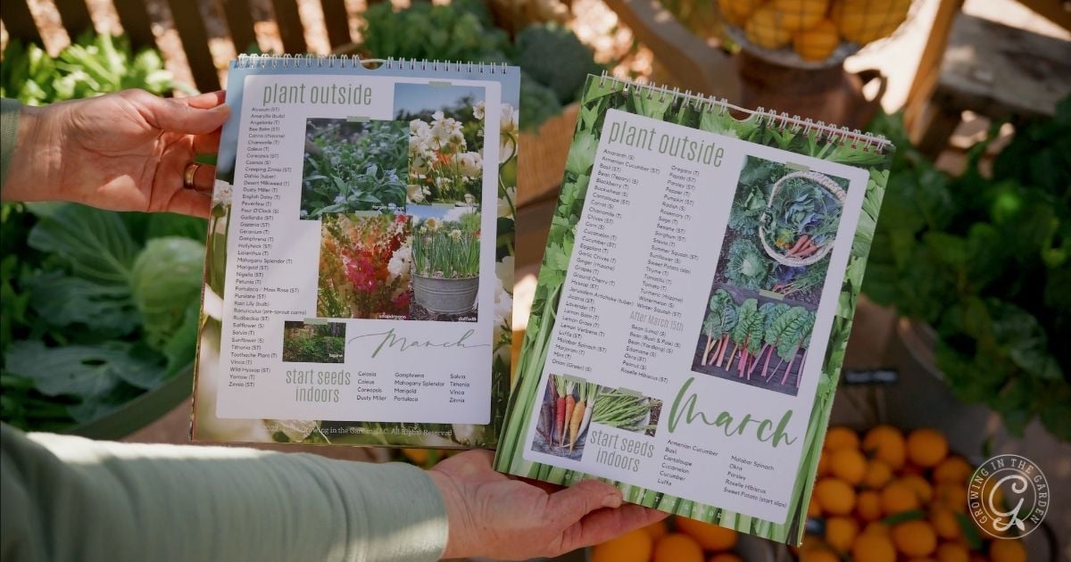 March Planting Calendar Arizona