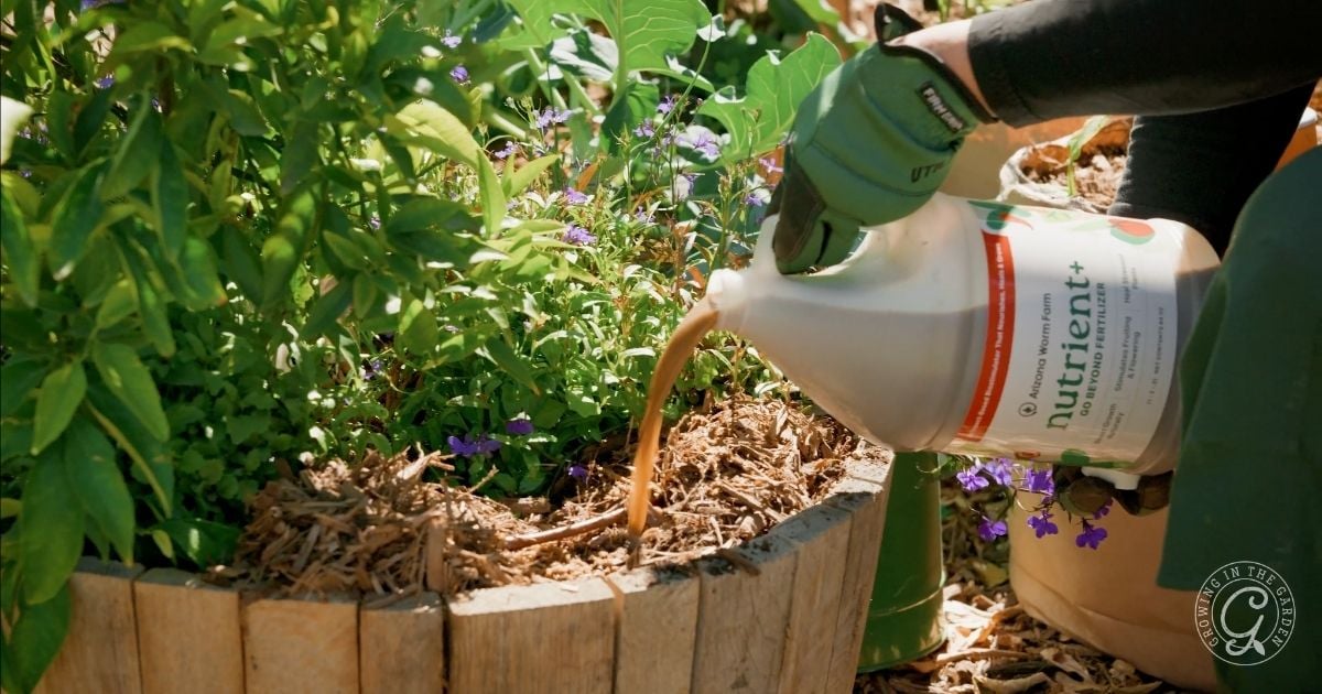 Boost plant recovery with Nutrient+ from Arizona Worm Farm