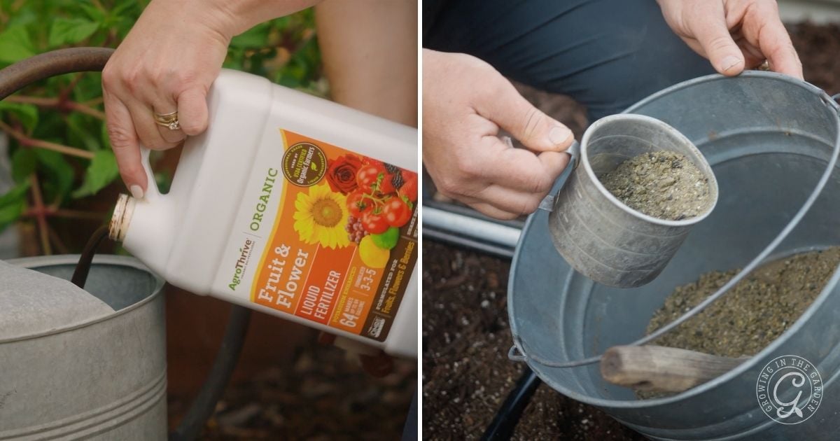 Feed Your Pumpkins Well