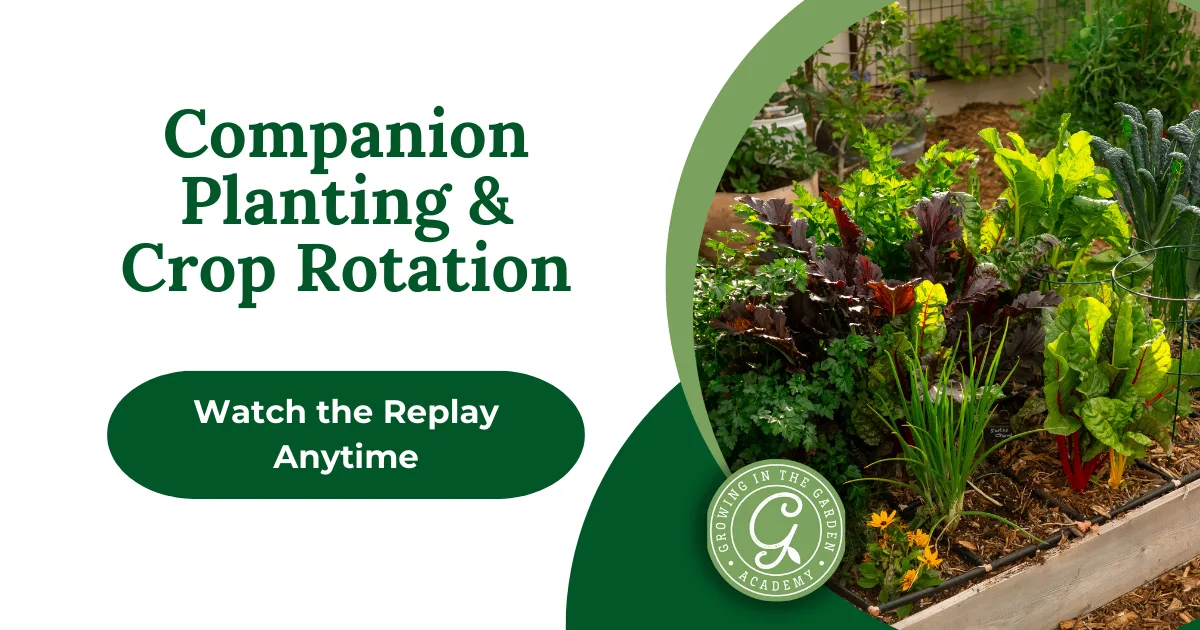 Text reads &ldquo;Companion Planting & Crop Rotation.&rdquo; Raised garden bed with various leafy greens, colorful vegetables, and warm-season companion plants thriving together.