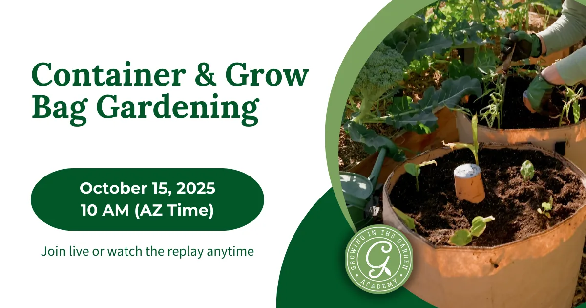 Person plants seedlings in a Three Sisters Grow Bag Garden. Text: Container & Grow Bag Gardening, event info, and logo.