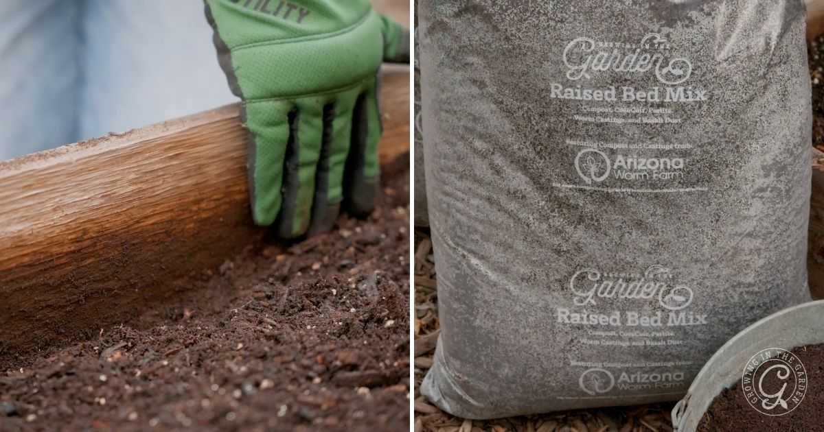 A gloved hand smooths soil in a wooden garden bed (left), and a bag labeled Garden Raised Bed Mix from Arizona Worm Farm rests on soil (right)—perfect for preparing your Arizona garden in March.