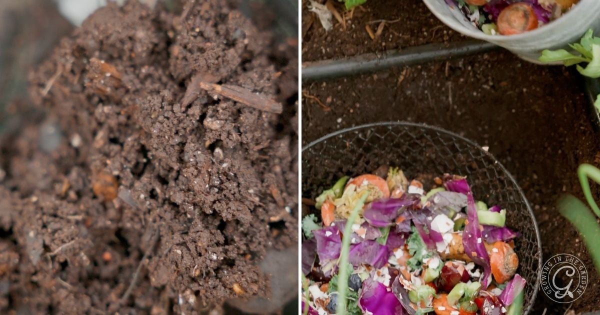 vermicomposting bins