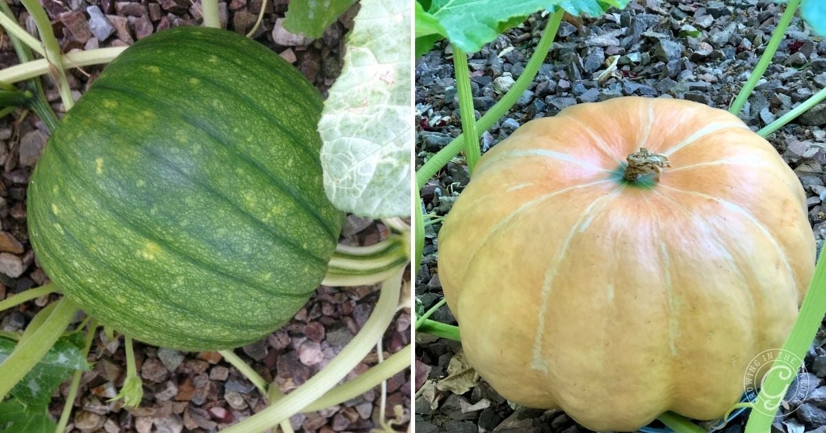 Water Deeply and Consistently