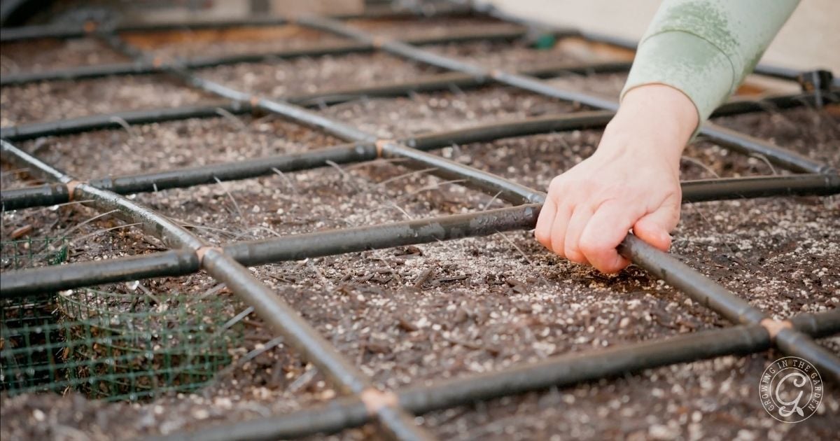 Watering Your Garden and Landscape