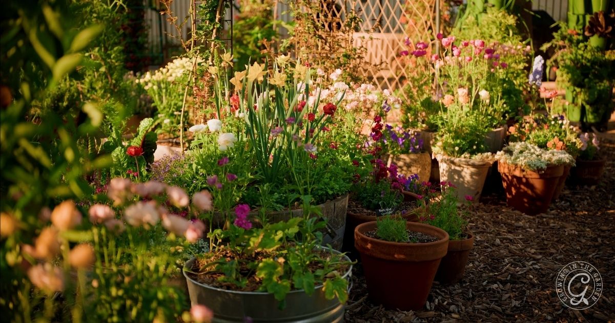 Arizona Garden in April