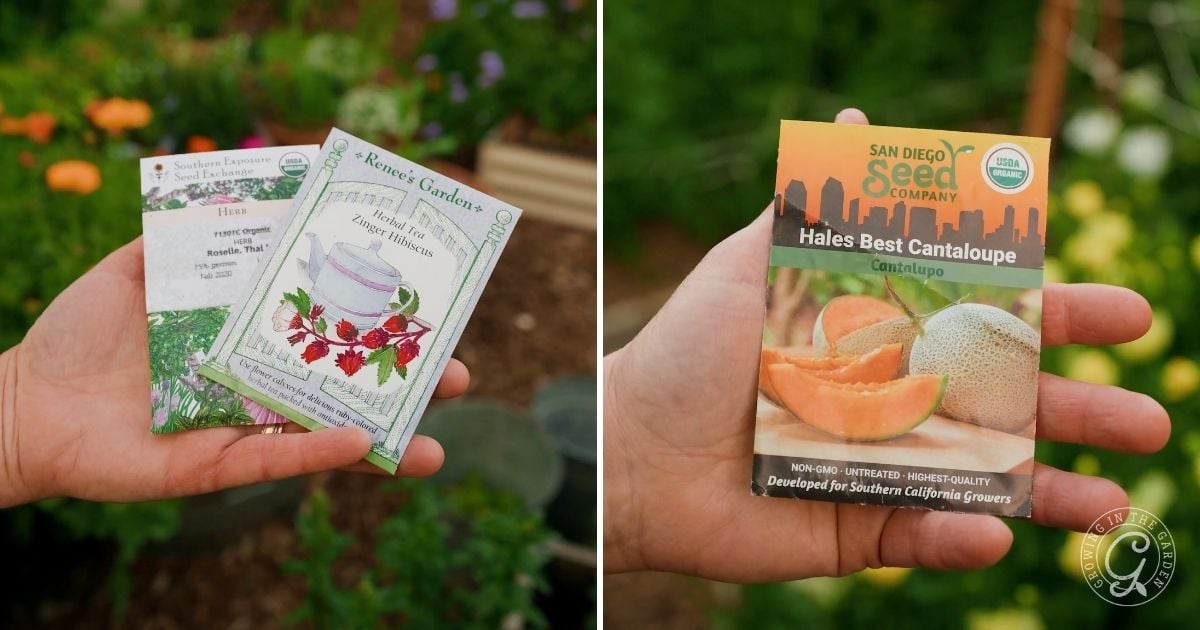 What to Plant in April in Arizona