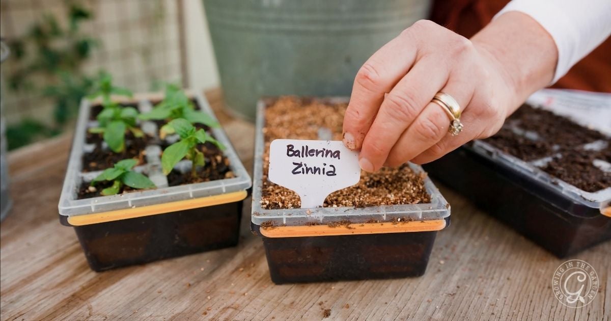 What to Plant in April in Arizona