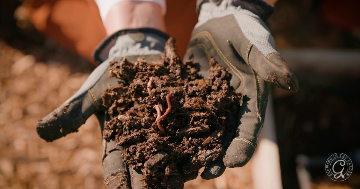 What to Plant in April in Arizona