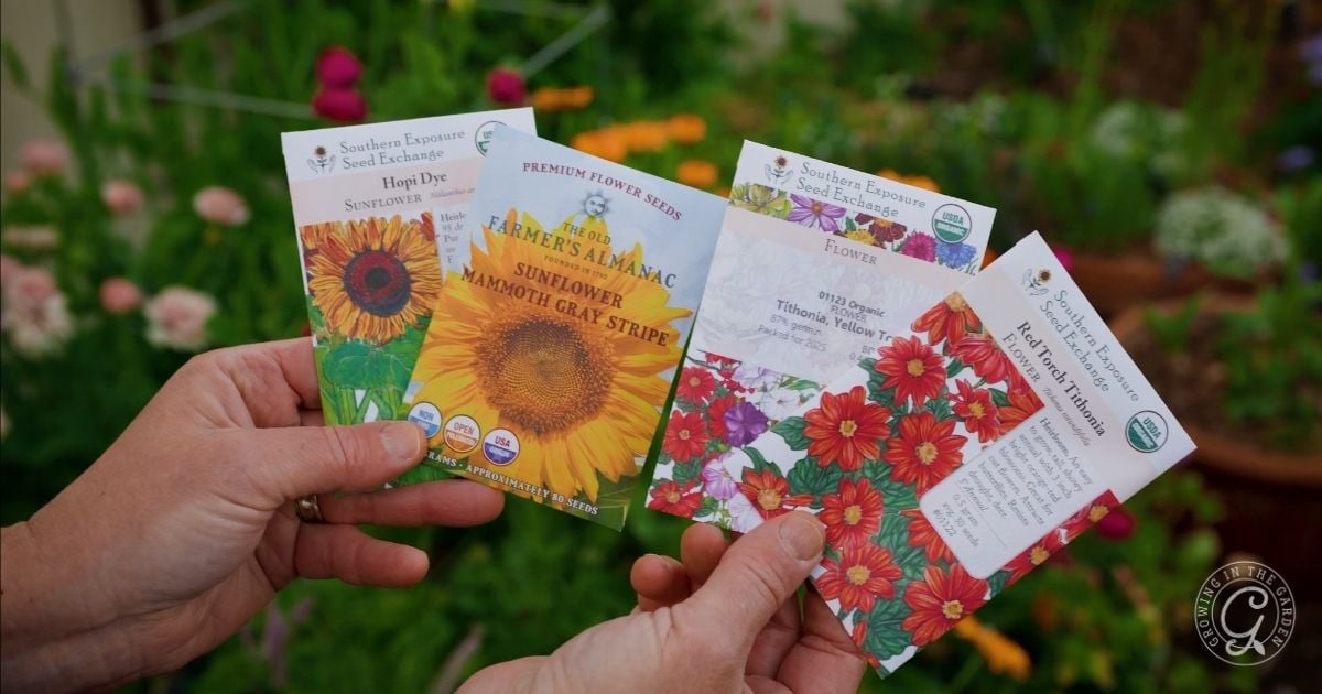 What to Plant in April in Arizona