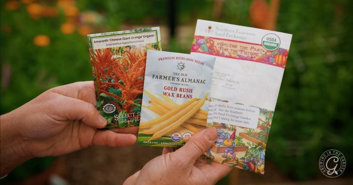 What to Plant in April in Arizona
