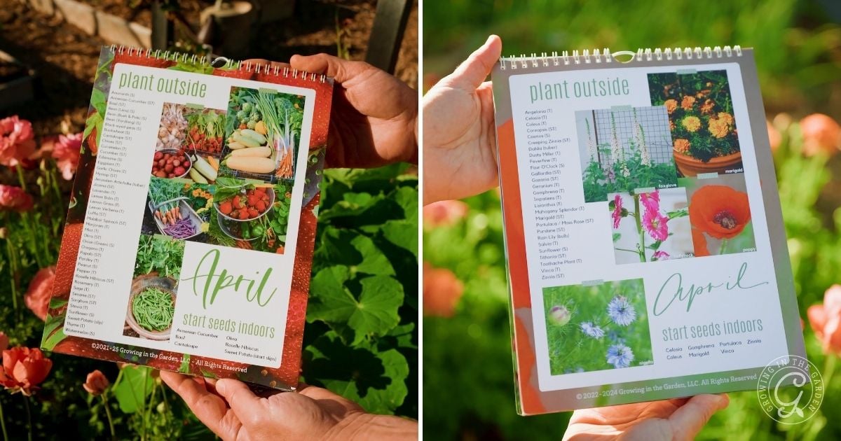 What to Plant in April in Arizona