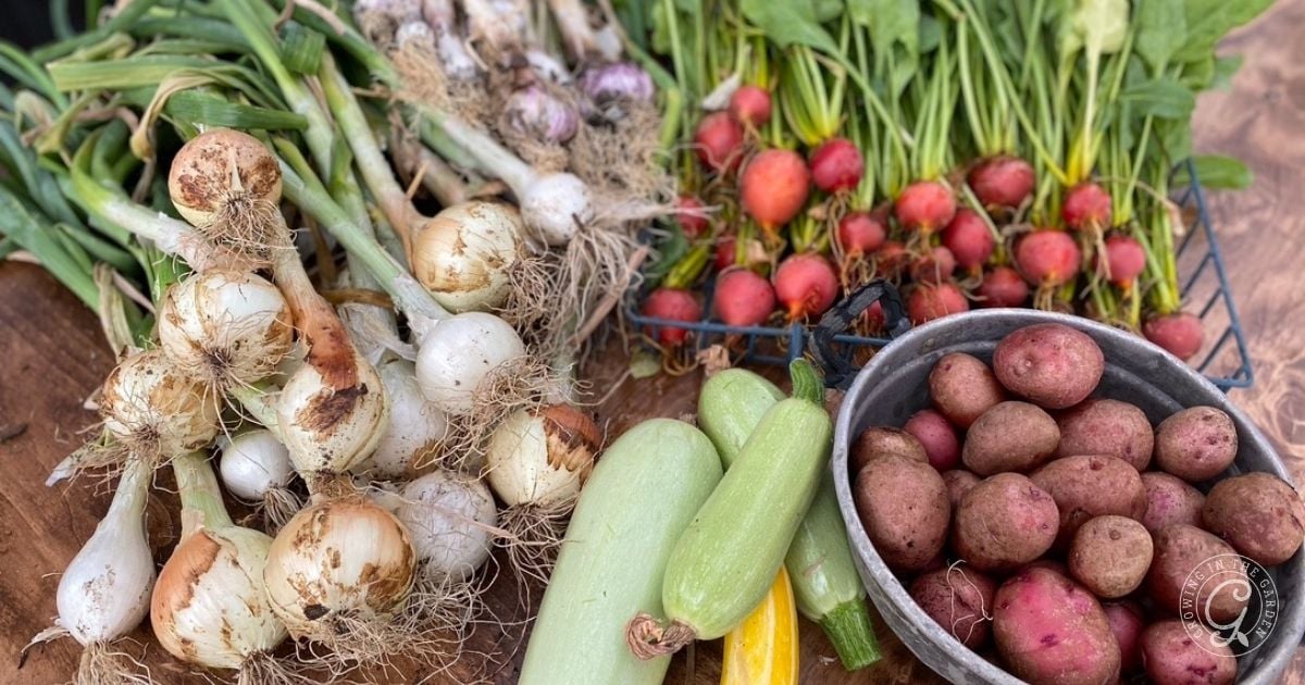 What to Plant in April in Arizona