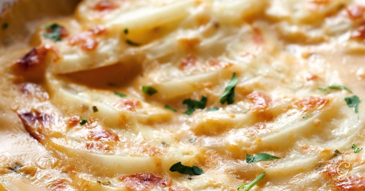 Close-up of creamy scalloped potatoes, infused with thyme and topped with melted cheese, garnished with chopped parsley. The dish has a golden-brown surface with visible potato slices layered underneath.