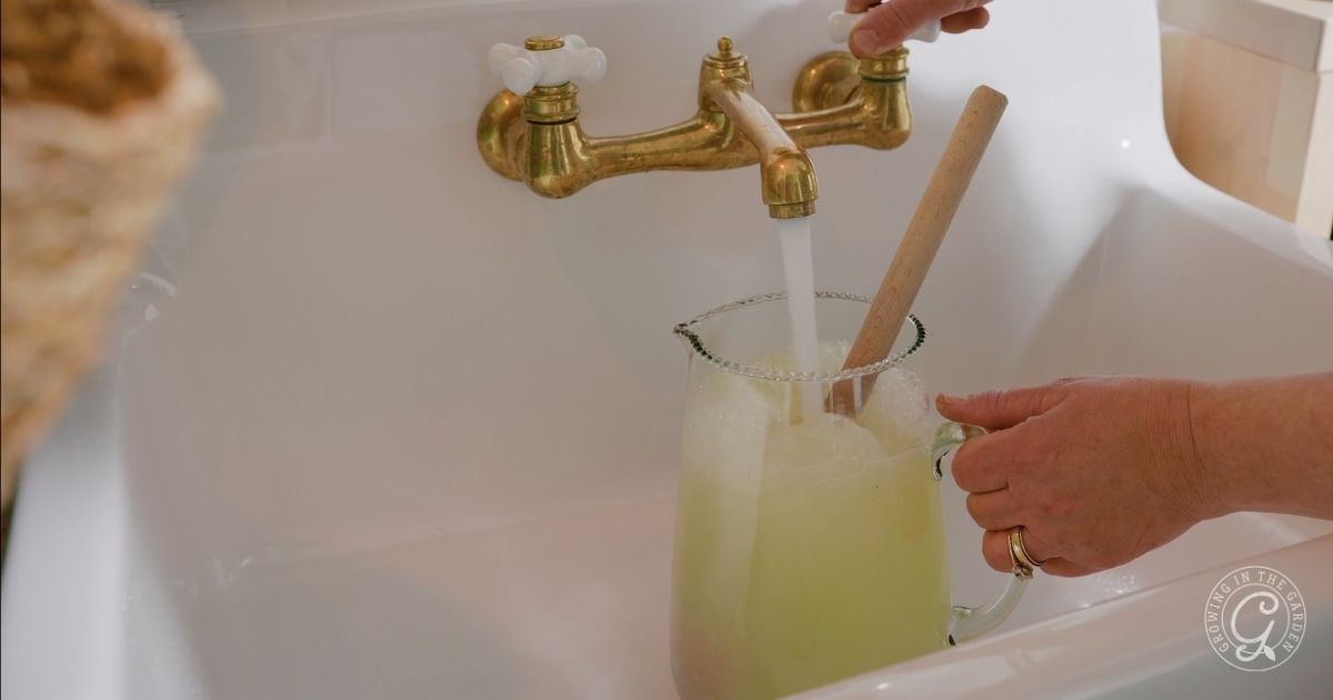 Homemade Lemonade Recipe & Freezing Tips