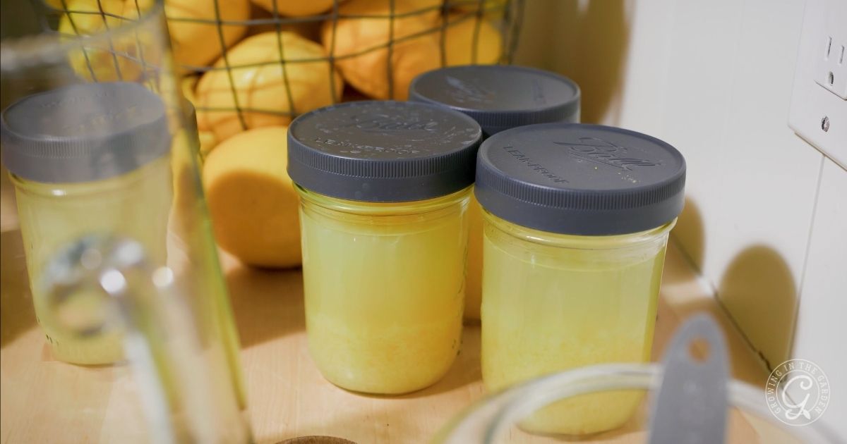 Homemade Lemonade Recipe & Freezing Tips