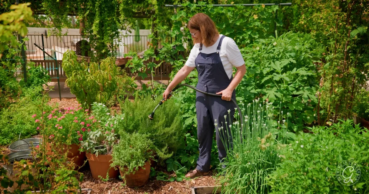 A woman in overalls waters plants in a lush, green garden with potted and in-ground vegetation.