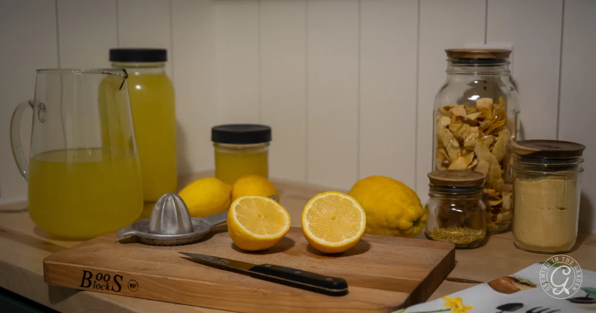 A kitchen counter with lemons, lemonade, a cutting board, a knife, and jars of dried ingredients.