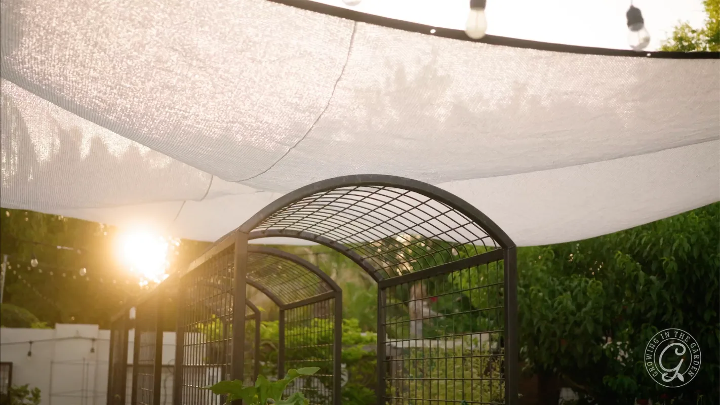 Sunlight shines through mesh shade cloth over a metal garden trellis surrounded by greenery.