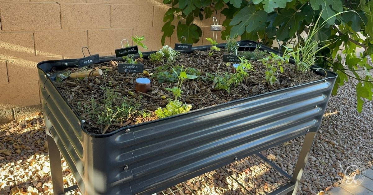 An elevated garden bed with various herbs and plants growing in labeled sections, set on a gravel surface beside a brick wall and leafy tree&mdash;ideal for gardeners seeking success in hot climates.