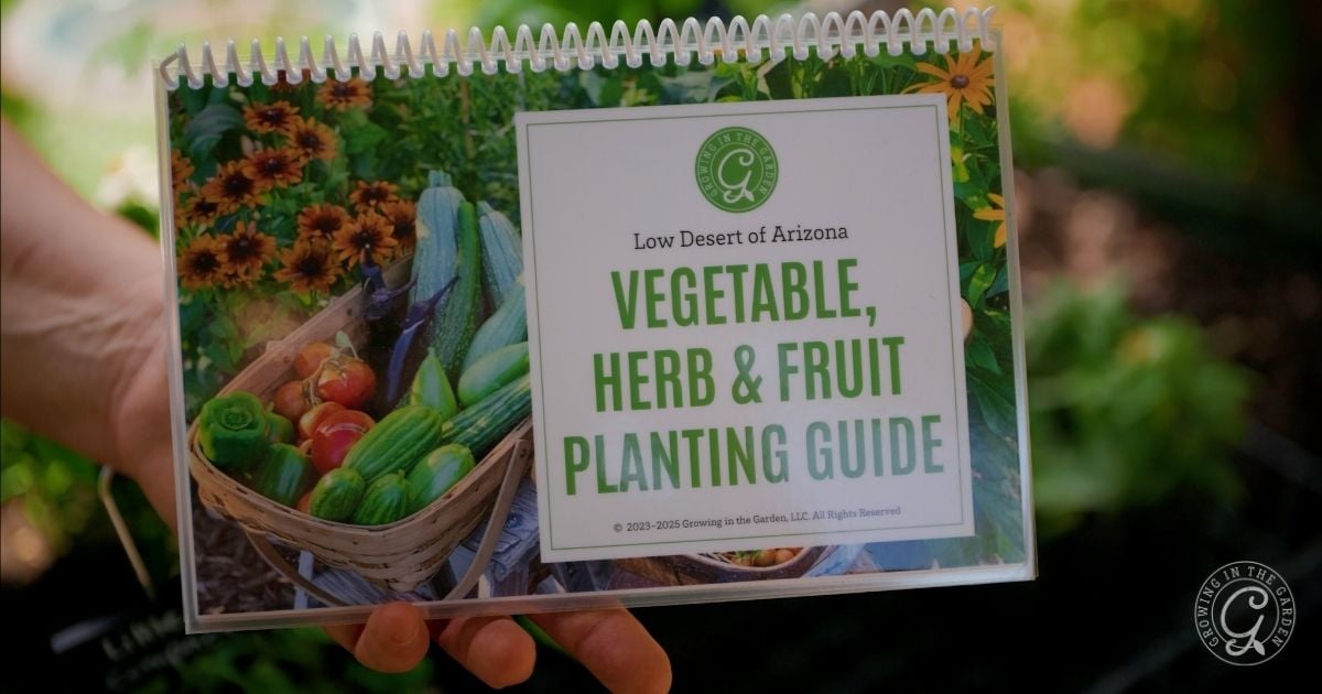 A hand holds a spiral-bound booklet titled Low Desert of Arizona Vegetable, Herb & Fruit Planting Guide, featuring baskets of fresh produce&mdash;perfect for anyone growing in an elevated garden bed or dealing with hot climates.