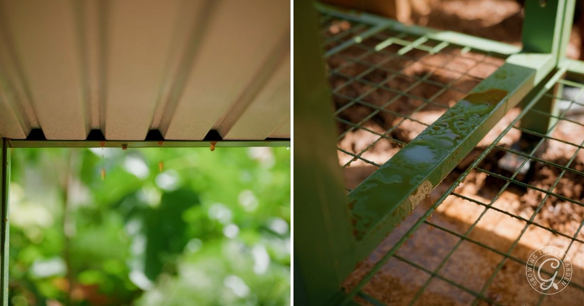Split image: Left side shows water dripping from a corrugated metal roof, with a blurred green garden in the background. Right side features an elevated garden bed&mdash;a smart gardening tip for making the most of small spaces above the ground.