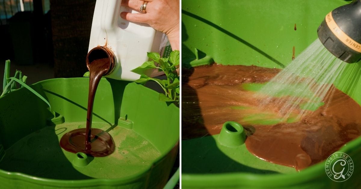 A hand pours liquid fertilizer into a green container in the first image, while water is sprayed over the mixture in the second&mdash;demonstrating essential greenstalk gardening tips for success.