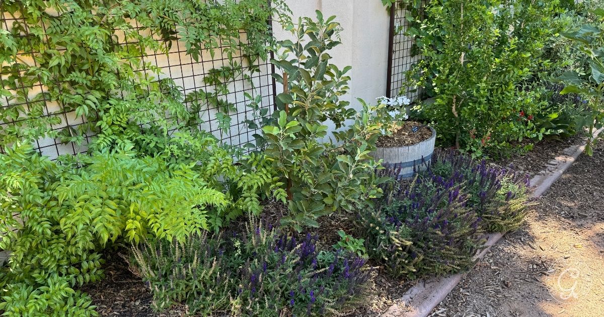Garden bed with leafy green plants, purple flowers, and a small tree near a wall with a trellis&mdash;perfect inspiration for your backyard garden design.