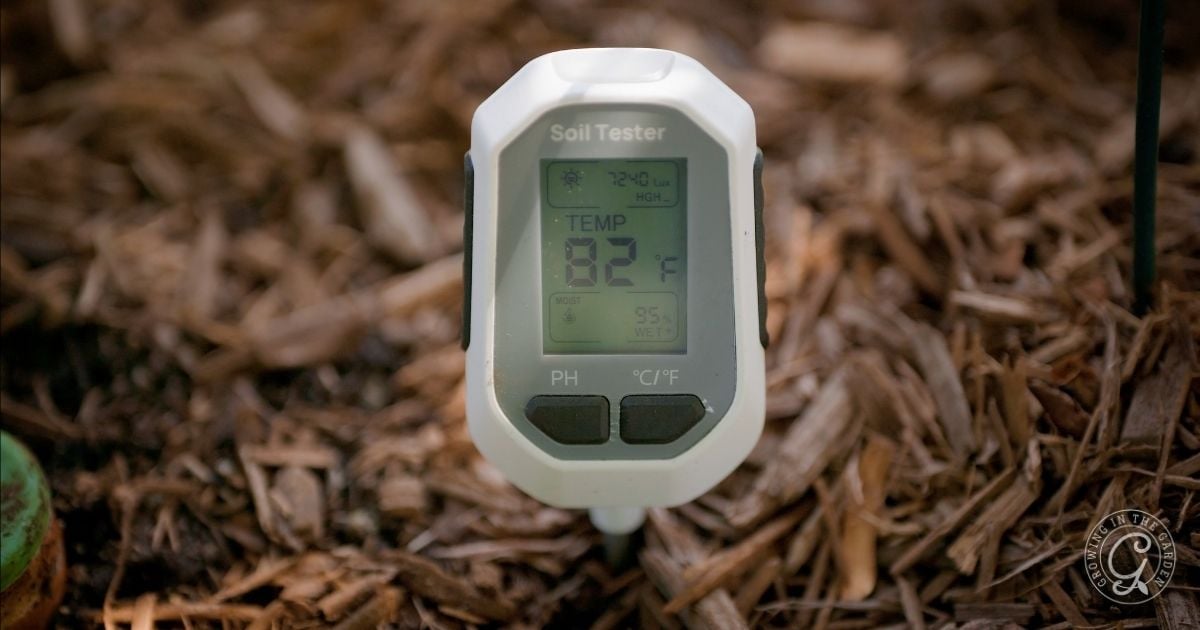 A digital soil tester displaying a temperature of 82&deg;F is inserted into mulch-covered soil in an elevated garden bed, ideal for hot climates.