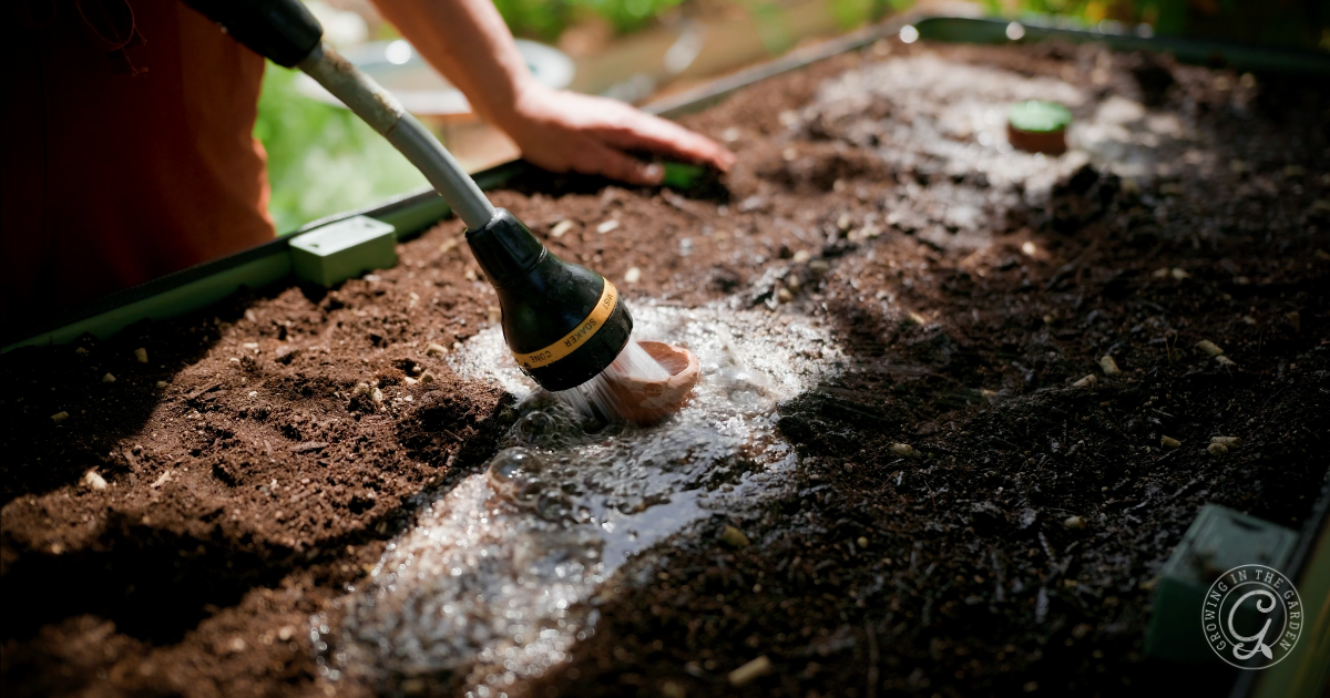 A person waters soil in an elevated garden bed using a hose sprayer, preparing the area for planting&mdash;an ideal method for gardening in hot climates.