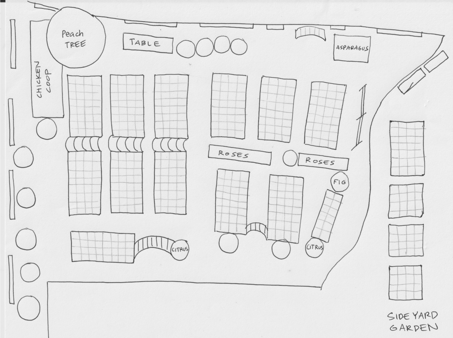 Hand-drawn side yard garden layout with labeled areas for plants, trees, a chicken coop, and a table—perfect inspiration for your backyard garden design.