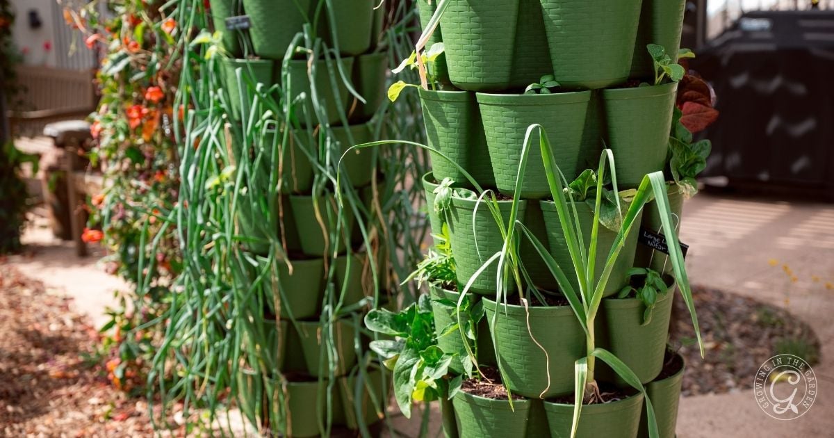 Vertical garden featuring stacked green pots full of leafy vegetables and herbs&mdash;perfect for discovering how to grow in a greenstalk and trying new greenstalk gardening tips outdoors.