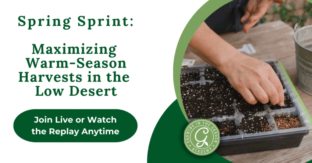 A person sowing seeds in a tray with text about maximizing warm-season harvests in the low desert, perfect for an Arizona Garden in May.