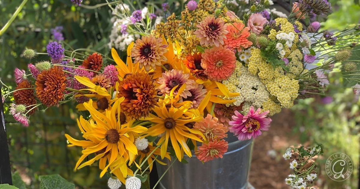 A bouquet of vibrant wildflowers in a metal bucket, featuring yellow, orange, pink, and white blooms&mdash;perfect inspiration if youre wondering what to plant in June in Arizona.