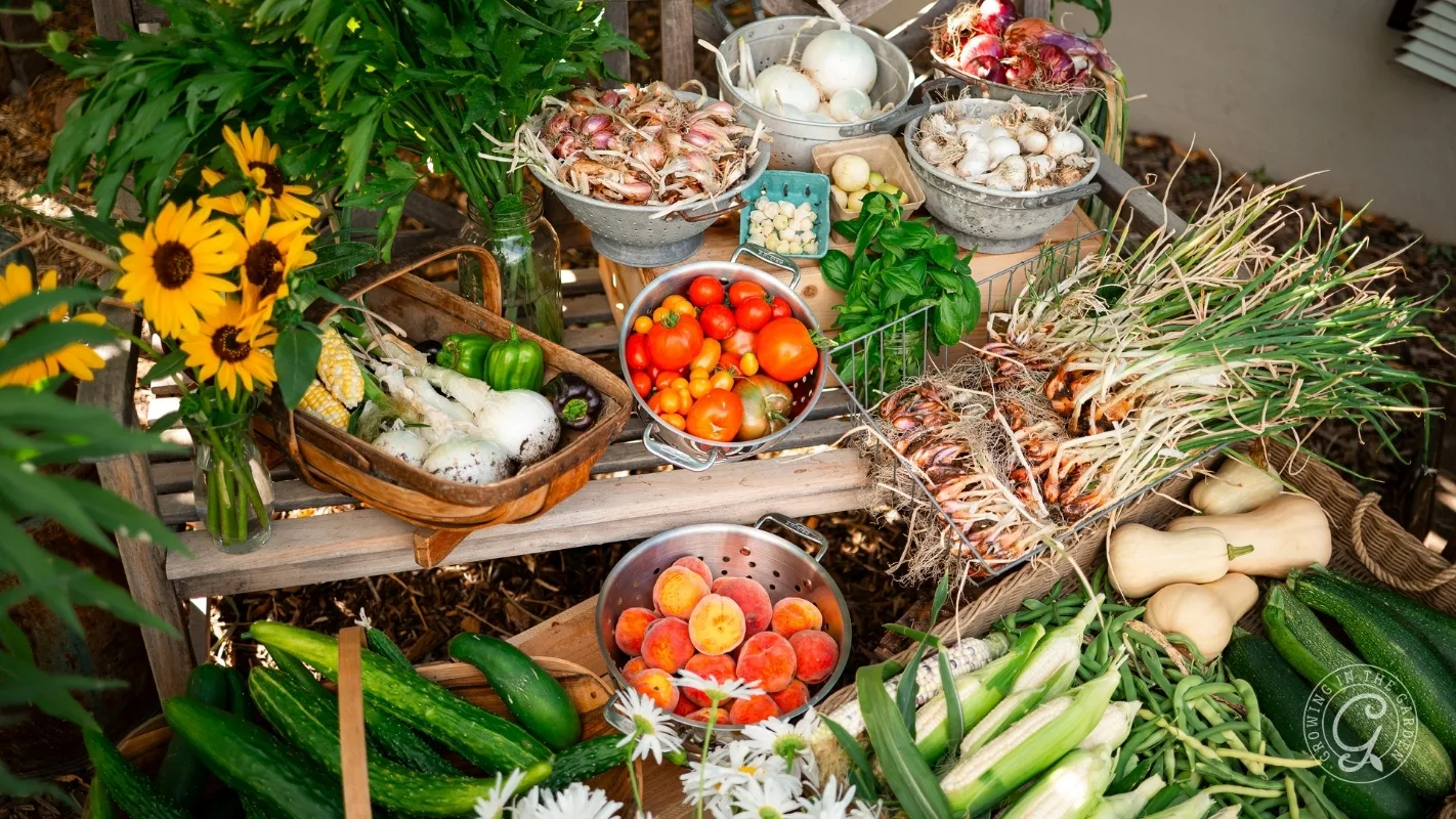 Harvested garden vegetables and flowers arranged on a wooden table, including tomatoes, garlic, and squash.