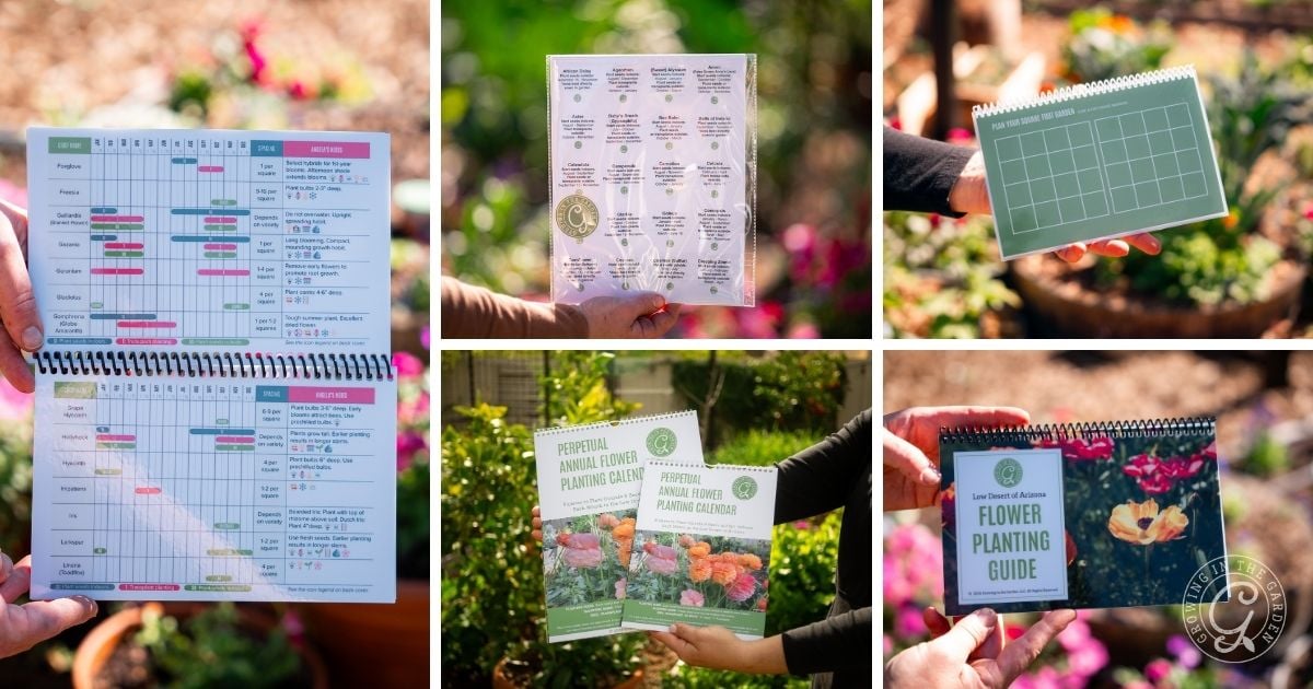 Collage of hands holding flower planting guides, charts, and calendars&mdash;including an Arizona bulb planting guide&mdash;in a bright garden setting.
