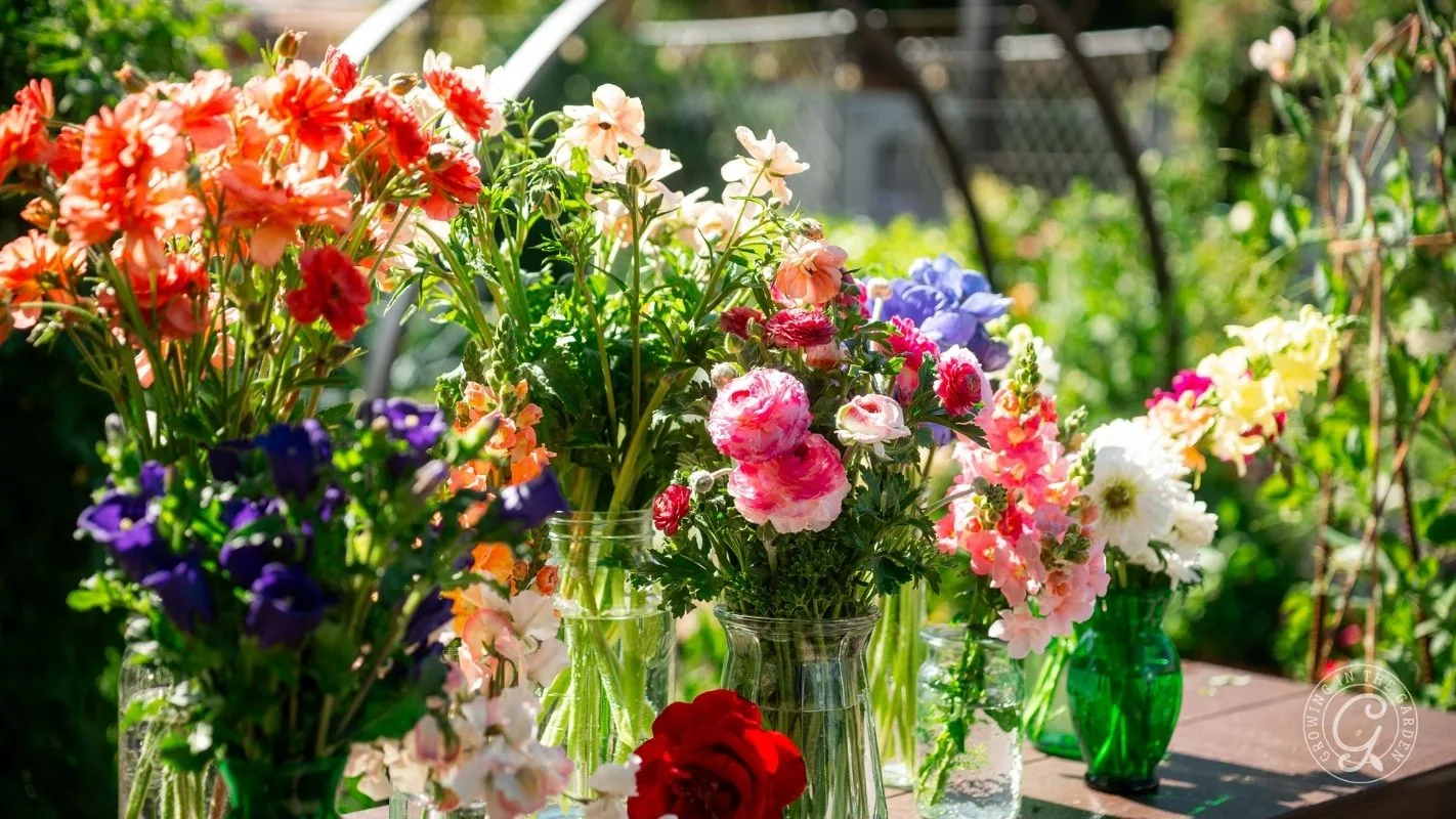 Colorful bouquets of various flowers in glass jars on a sunny outdoor table, with a garden in the background in Arizona. 